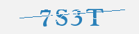 보안문자